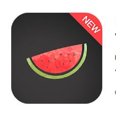 Melon VPN MOD APK v5.6.150 [VIP Unlocked, AdFree] 2022