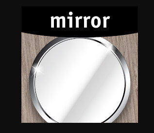 Mirror Plus Mod Apk